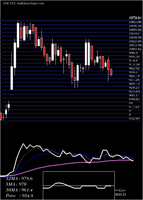  Daily chart CclProducts