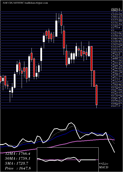  Daily chart CignitiTechnologies