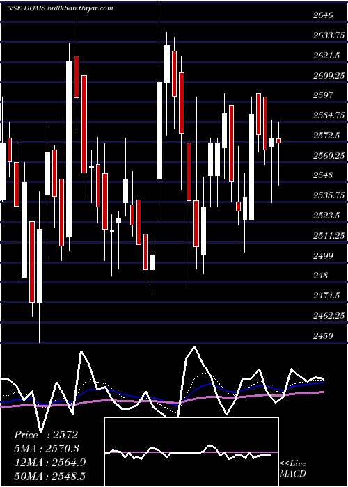  Daily chart DomsIndustries