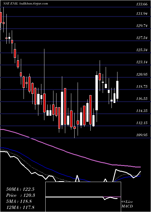  Daily chart EntertainmentNetwork