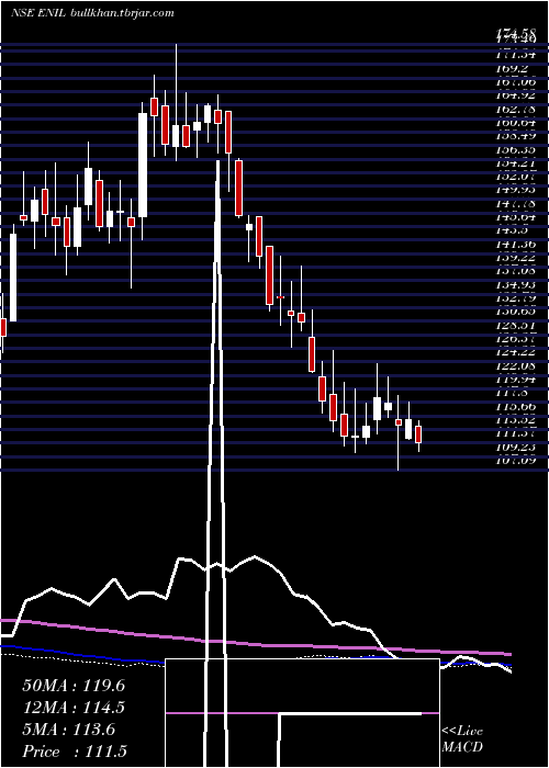  weekly chart EntertainmentNetwork