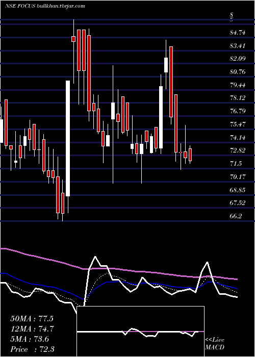  Daily chart FocusLightg