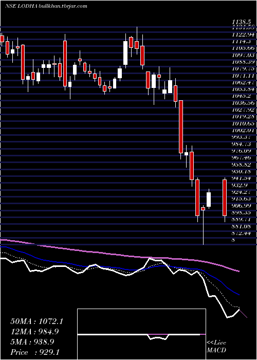  Daily chart MacrotechDevelopers