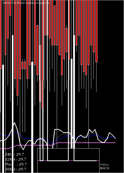  Daily chart ZerodhaamcLtgiltcase