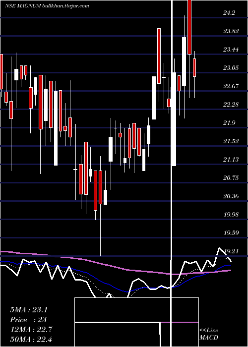  Daily chart MagnumVentures