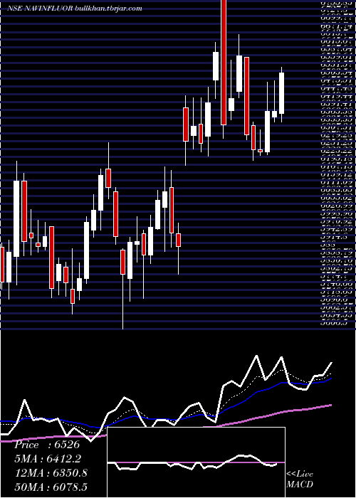  Daily chart NavinFluorine