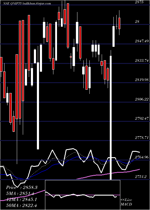  Daily chart QuantumIndex
