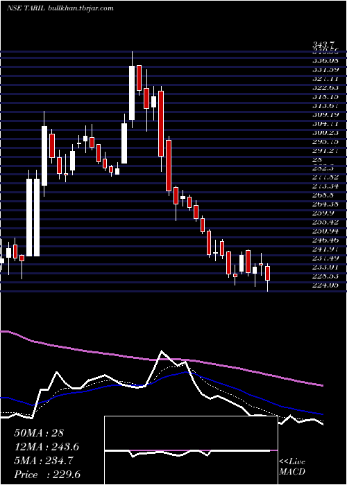  Daily chart TransRecti