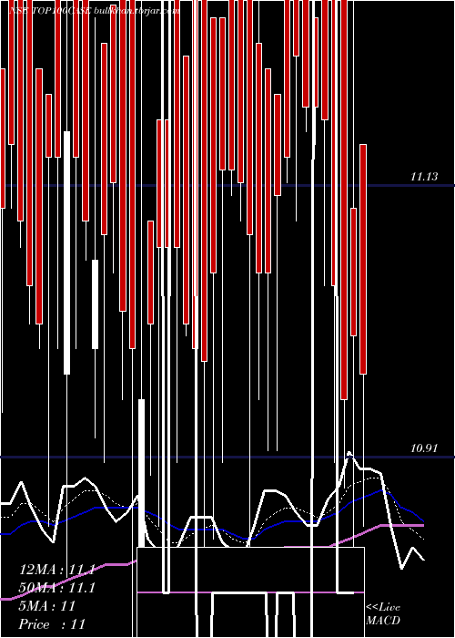  Daily chart ZerodhaamcTop100case