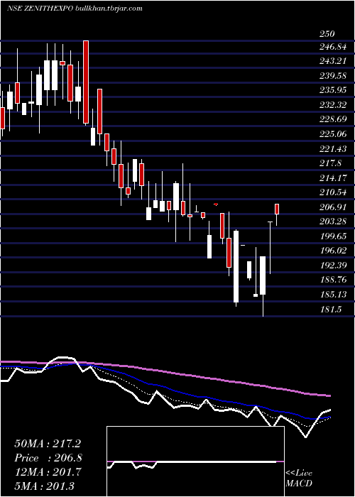  Daily chart ZenithExports