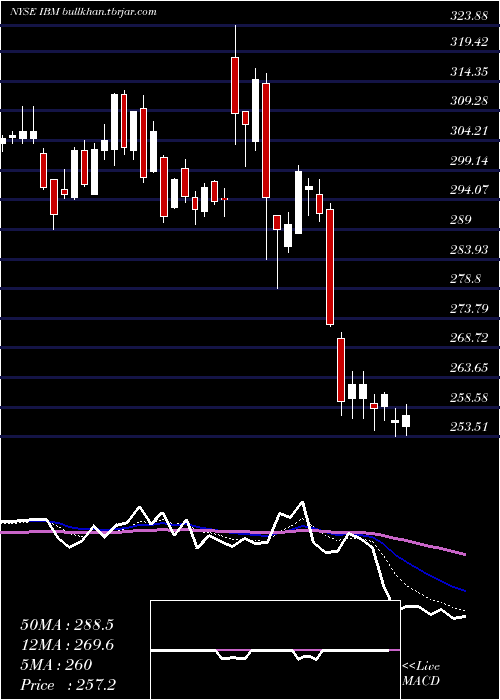  Daily chart InternationalBusiness
