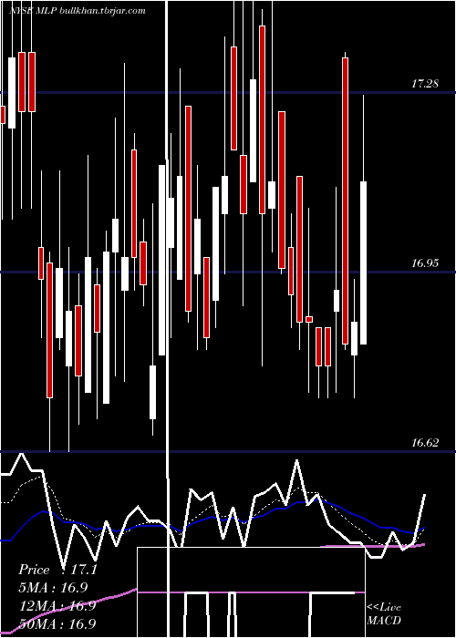  Daily chart MauiLand