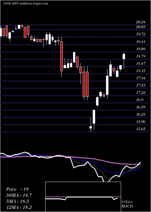  Daily chart BaringsParticipation