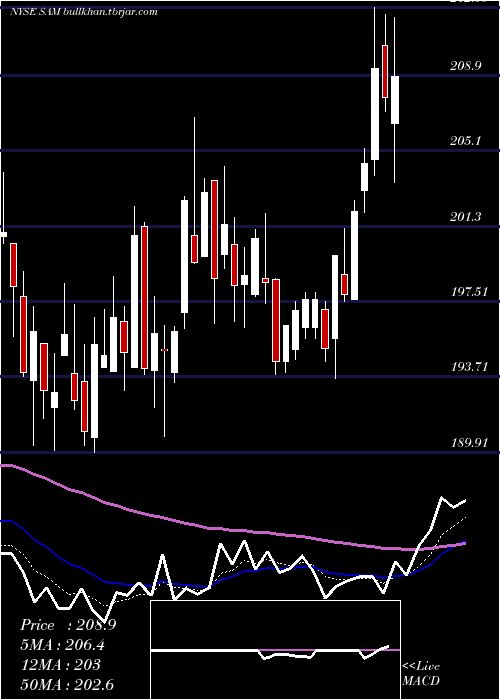  Daily chart BostonBeer