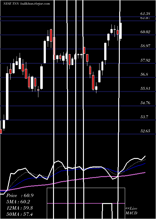  Daily chart TysonFoods