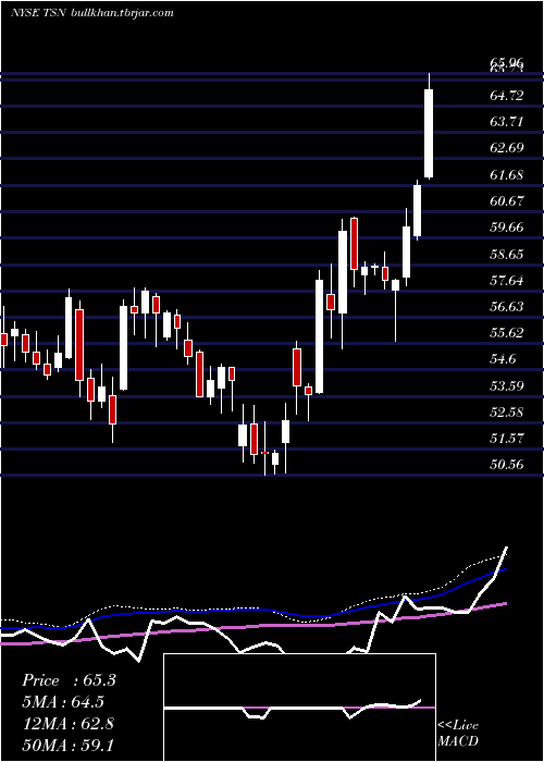  weekly chart TysonFoods