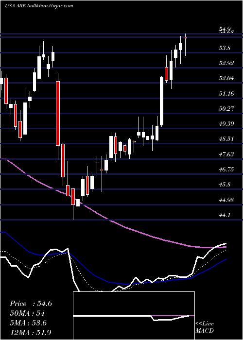  Daily chart AlexandriaReal