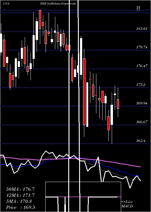  Daily chart BadgerMeter