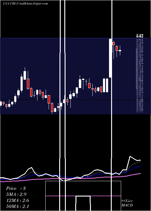  Daily chart CibusCorp