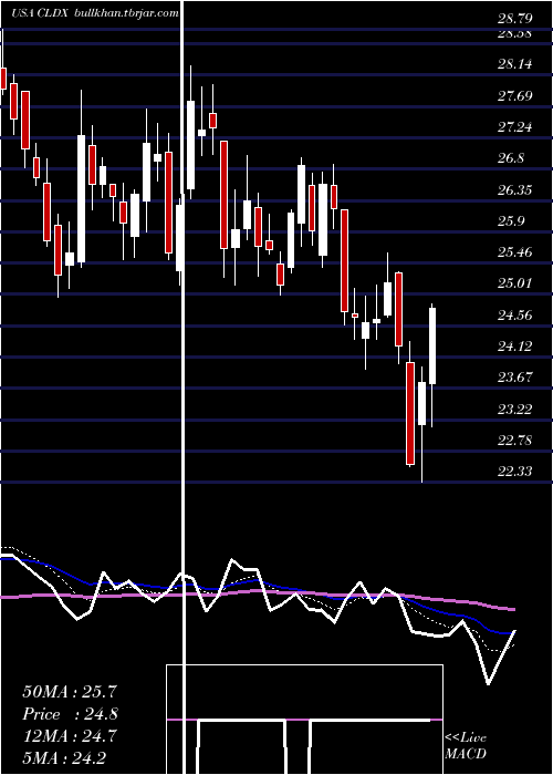  Daily chart CelldexTherapeutics