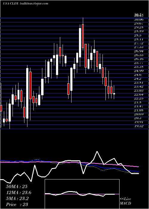  weekly chart CelldexTherapeutics