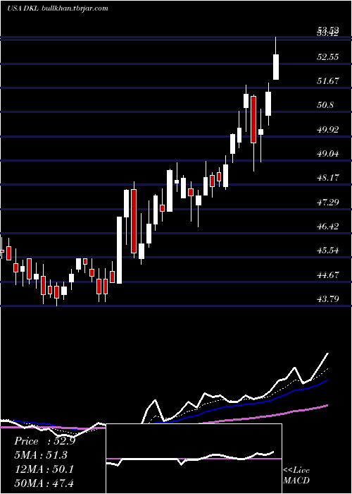  Daily chart DelekLogistics