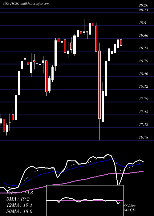  Daily chart HealthcareServices