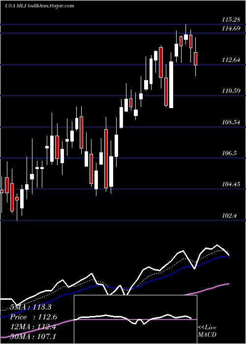  Daily chart MuellerIndustries