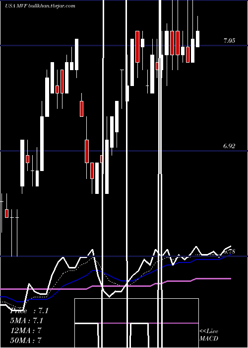  Daily chart MunivestFund