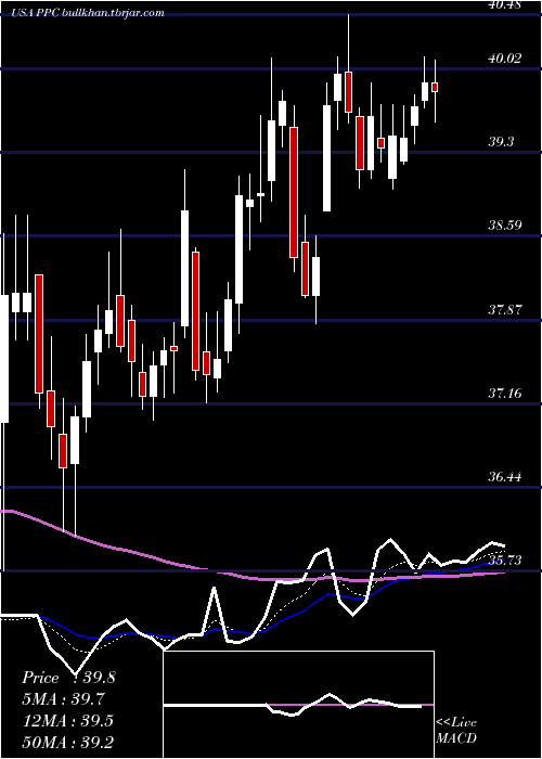  Daily chart PilgrimS