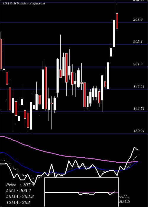  Daily chart BostonBeer