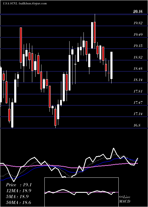  Daily chart ShoeCarnival
