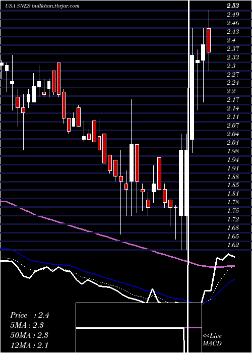  Daily chart SenestechInc