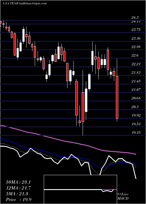  Daily chart TenableHoldings