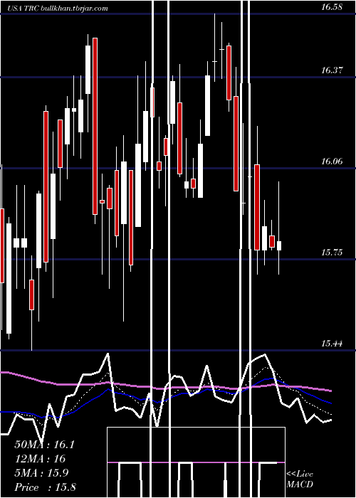  Daily chart TejonRanch