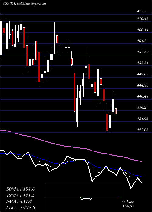  Daily chart TylerTechnologies