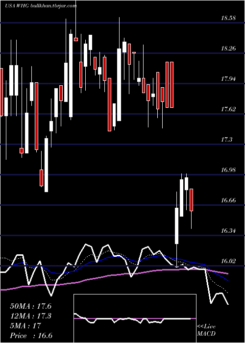  Daily chart WestwoodHoldings